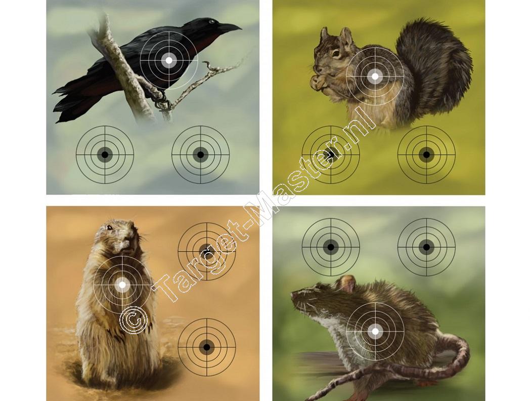 Crosman VARMINT TARGETS Airgun Paper Target 23x25 centimeter package of 20 Crosman VARMINT TARGETS Airgun Paper Target 23x25 centimeter package of 20